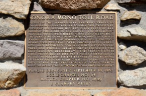 Roadside on Sonora Pass